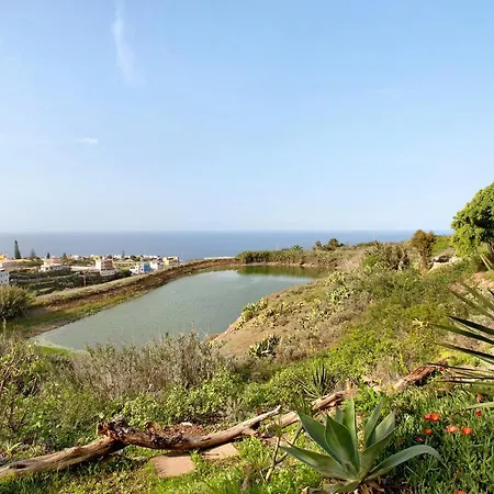 Petite Paradise Apartman