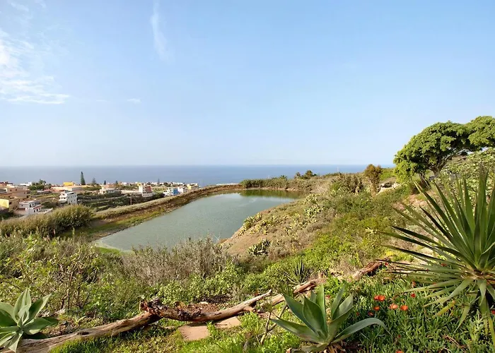 Petite Paradise Apartament