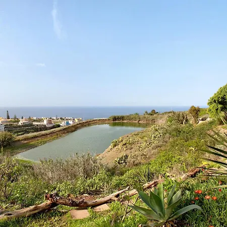 Petite Paradise